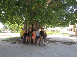 Students and faculty under baobab tree.